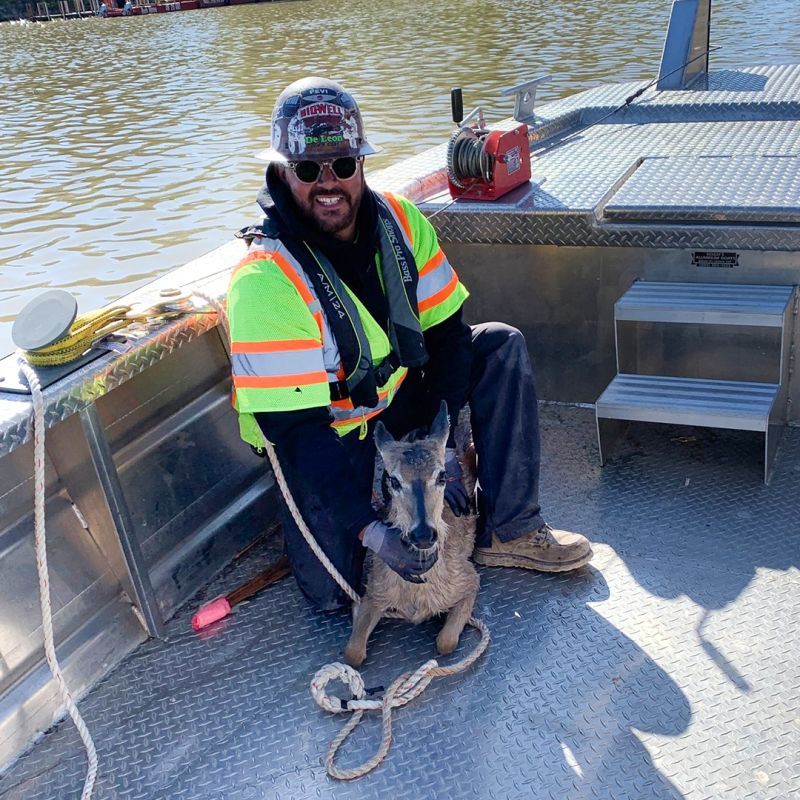 No big deal – It’s All in a Day’s Work: Leading a Safe Project Site and Wildlife Rescue